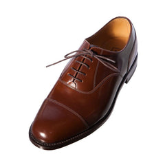Brown Polished Leather Shoe
